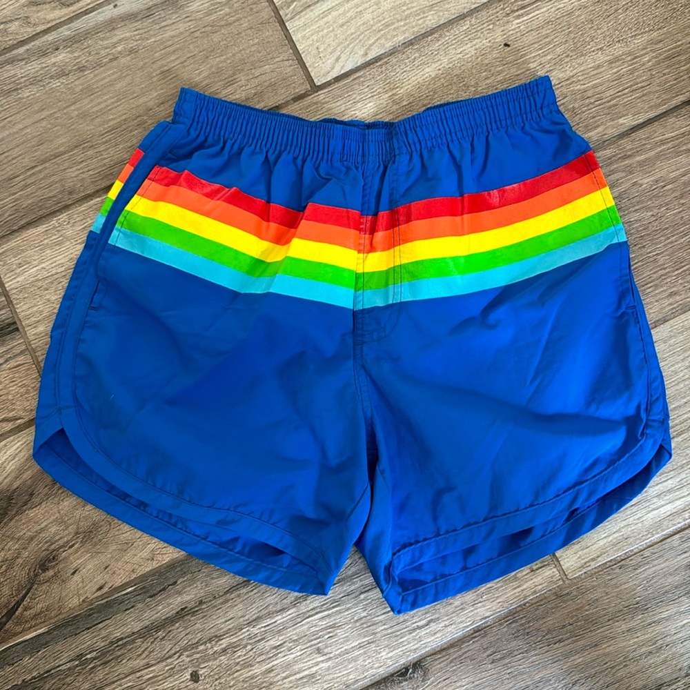 Chubbies MENS Blue Rainbow Shorts
